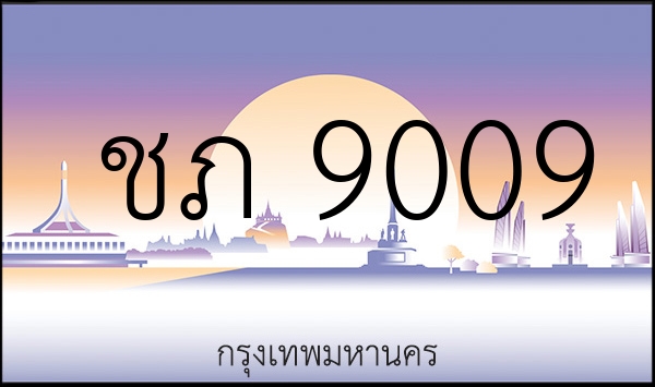 ชภ 9009